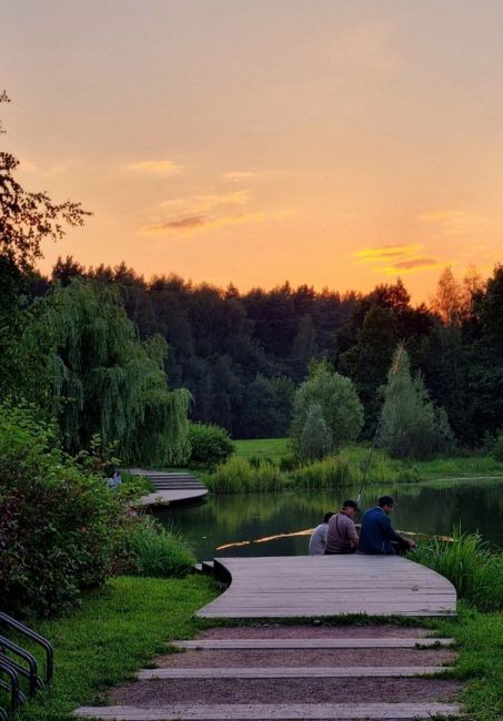 🌳 Отличное место для прогулок: Мещерский..