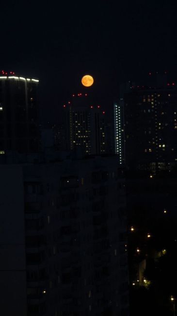 #фото@moscow_atypical  🌕 Первые кадры крупнейшего в этом году суперлуния над..