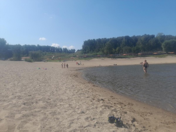 В Новосибирске вода на Бугринском пляже издает неприятный запах.  Жители Новосибирска пожаловались на..