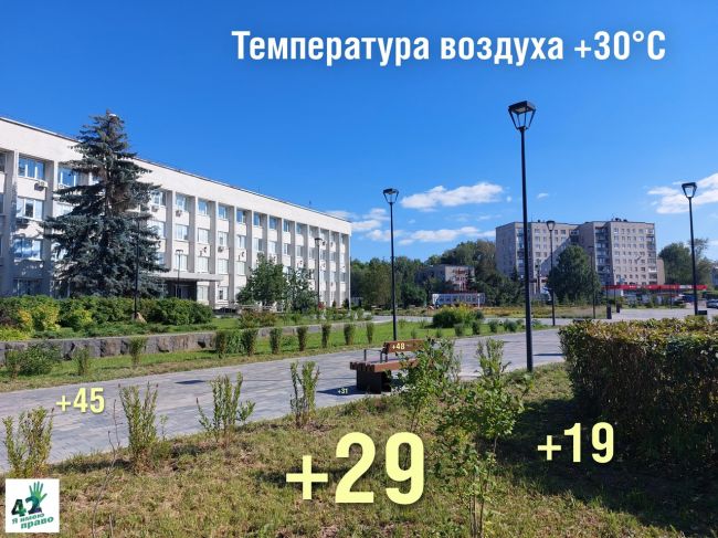 ☀🌡🌳  В городе пекло.  В такую погоду хорошо сидеть дома в холодной ванне. Но тем горожанам, которым..