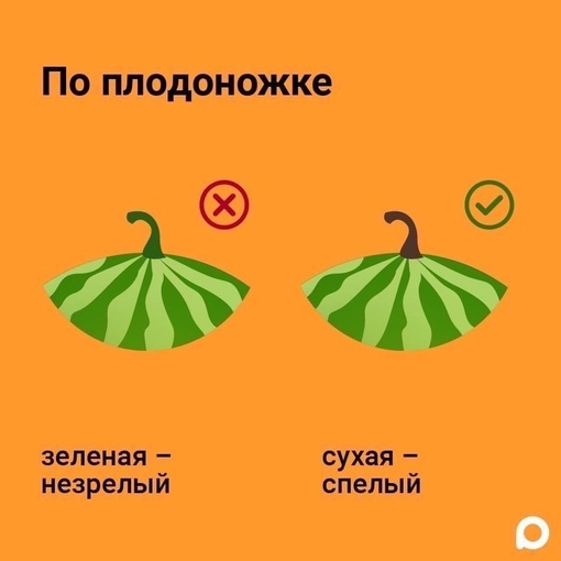 🍉 Наступил один из самых вкусных месяцев лета. Если вы не знаете, как выбрать самый спелый и сочный арбуз,..