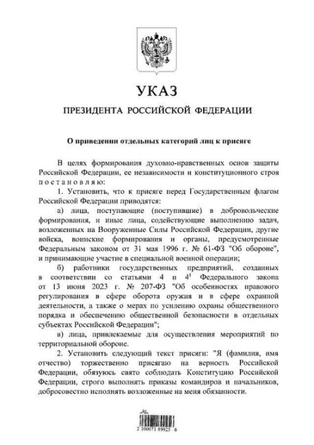 Добровольцы, выполняющие военные задачи, должны будут принимать присягу перед государственным флагом..