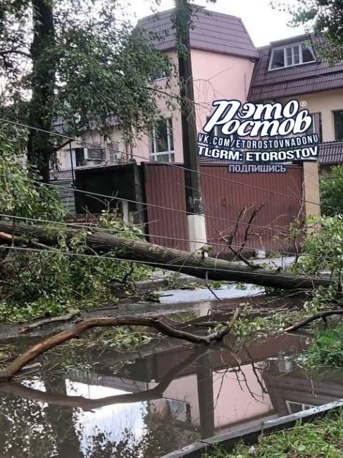 🌳В Беломорском переулке дерево рухнуло на провода и завалило столб.  🫡П.С. Спасибо всем, кто присылает..