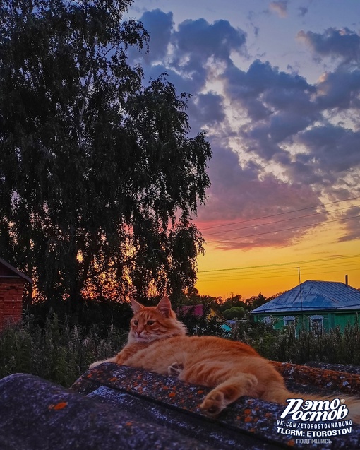 Любуемся закатом у бабушки в деревне..