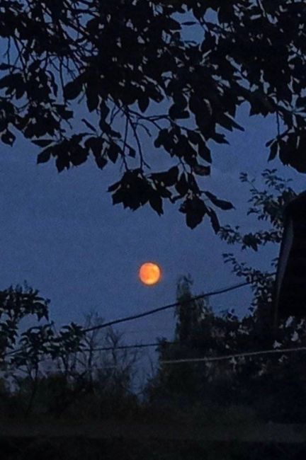 🌓 Нижегородцы делятся фотографиями суперлуния — Красной луны.  Кстати, это суперлуние называется..