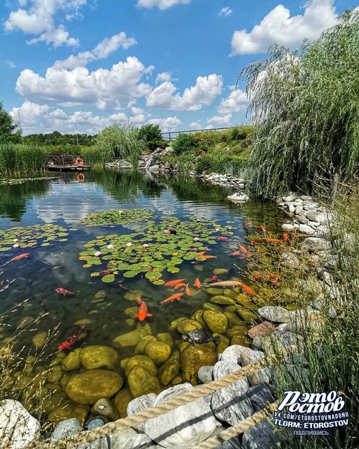 Пруд в Мега парке 🐠
📍 Аксайский проспект,..