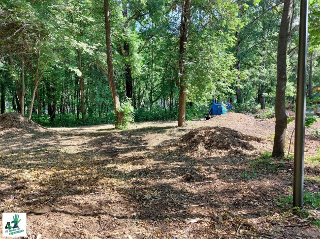 🎉🌳🪓  Сегодня 120 лет исполняется парку "Швейцария".  Парк, без сомнения, прекрасен.  Но есть проблема - мы..