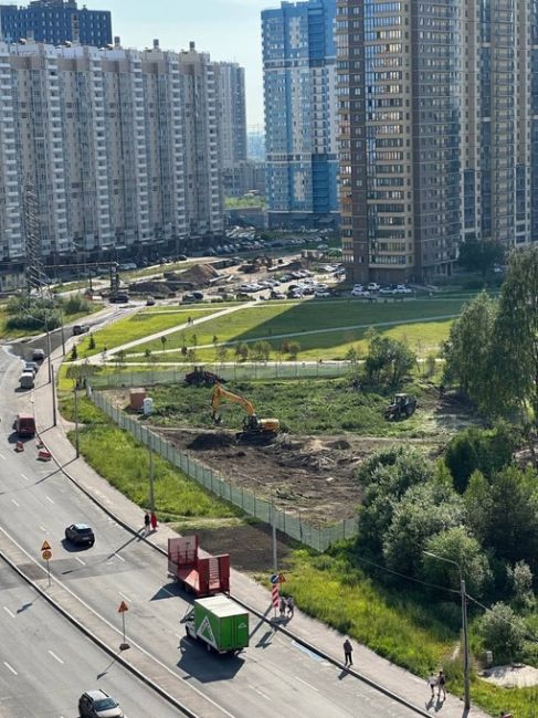 СК грозит Смольному уголовным делом за вырубленный сквер  Протесты жителей Парголово, у которых чиновники..