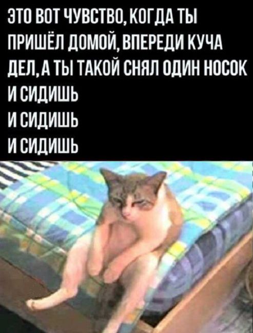 и так каждый..