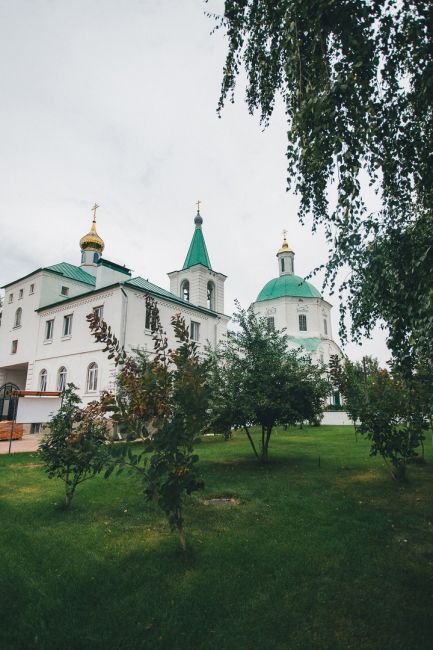 На берегу тихого Дона 💙  Фото: Артём..