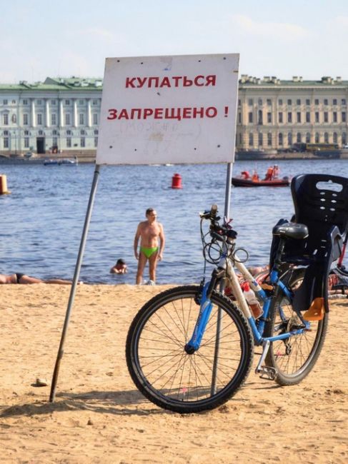 Семилетний ребёнок утонул в Финском заливе. На спасение не хватило считанных минут  Печальная трагедия..