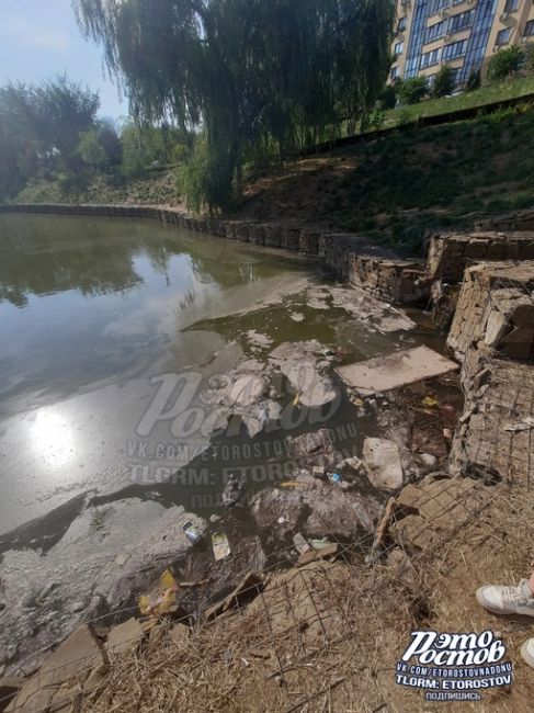 🤢 «Полная антисанитария в балке Рябинина. Стоит жуткий запах, спустились вниз и увидели всплывший труп..