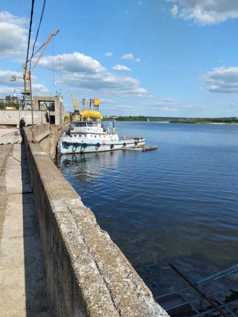 🚤 «Валдай 45Р» будут ходить между Нижним и Дзержинском уже в этом году. Об этом сообщили в областном..