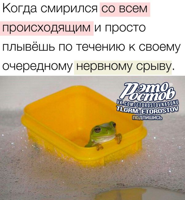 🚣‍♂️Ростовчане..