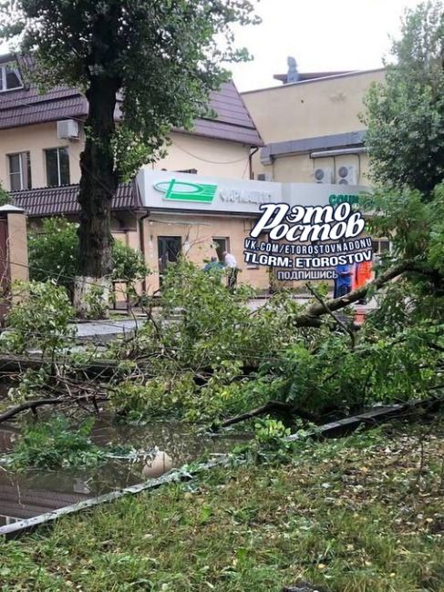 🌳В Беломорском переулке дерево рухнуло на провода и завалило столб.  🫡П.С. Спасибо всем, кто присылает..