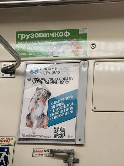 🐕Заботливое напоминание в питерском..