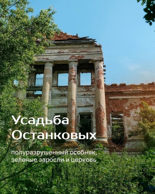 А это усадьба Останковых. Она построена в конце 18 века. Вокруг был разбит парк с яблонями, кедрами, елями...