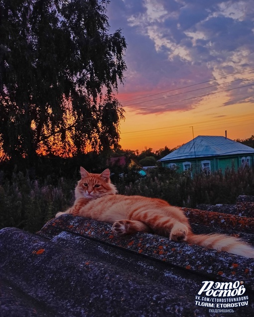 Любуемся закатом у бабушки в деревне..