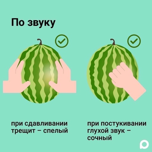 🍉 Наступил один из самых вкусных месяцев лета. Если вы не знаете, как выбрать самый спелый и сочный арбуз,..