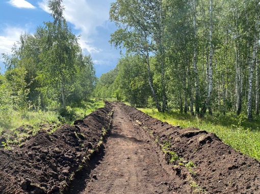 В Челябинске создают экотропу в зеленой зоне. Она будет иметь 3-километровый прогулочный маршрут...