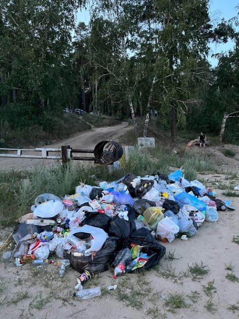 С каждым приездом на Обское море в ужасе! Количество мусора увеличивается. Отдохнули оставили после себя , а..