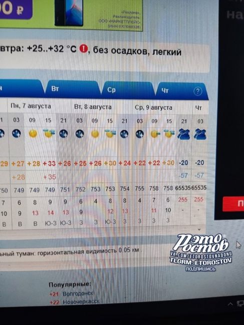 🥶 10 августа готовимся к зиме. Рп5 передаёт заморозки -20 ..