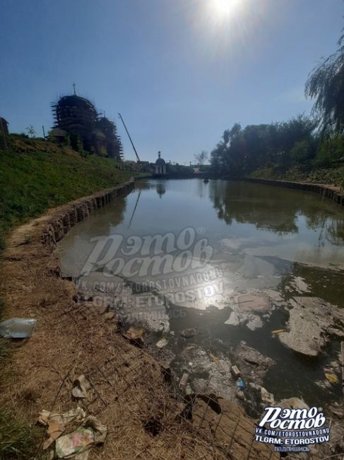 🤢 «Полная антисанитария в балке Рябинина. Стоит жуткий запах, спустились вниз и увидели всплывший труп..