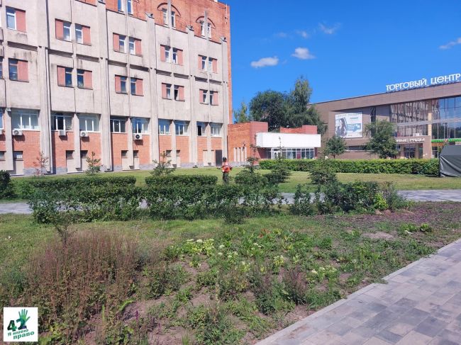 ☀🌡🌳  В городе пекло.  В такую погоду хорошо сидеть дома в холодной ванне. Но тем горожанам, которым..