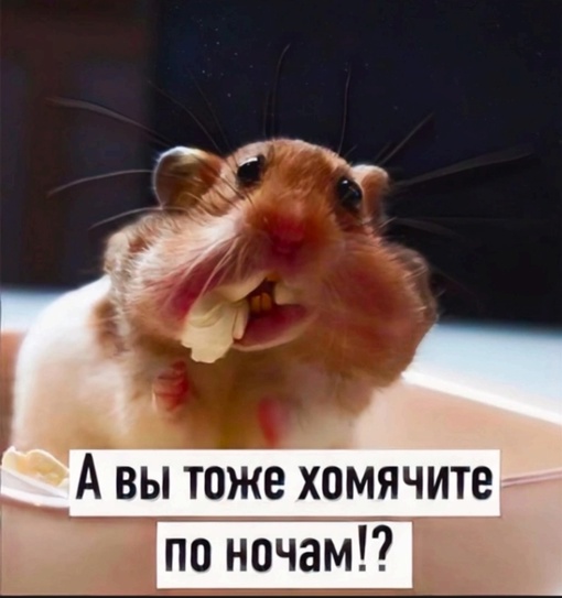 🗨 Ночной чат..