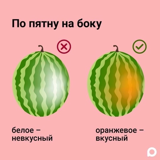 🍉 Наступил один из самых вкусных месяцев лета. Если вы не знаете, как выбрать самый спелый и сочный арбуз,..