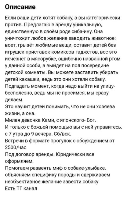 🐶 «Воет, грызет любимые вещи, оставит детей без игрушек» 
В Москве сдают в аренду собаку сиба-ину, которая..