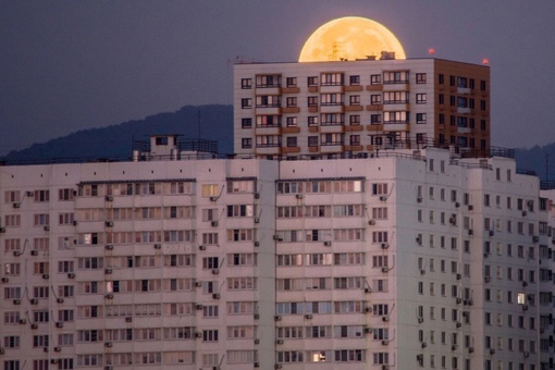 🌘Доброе утро!  Сегодня и правда было Суперлуние "Голубая Луна". в 4.00 она была голубоватая (пятое фото), а уже в..