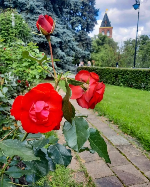 Живописный Тайницкий сад у стен Кремля.  Фото:..