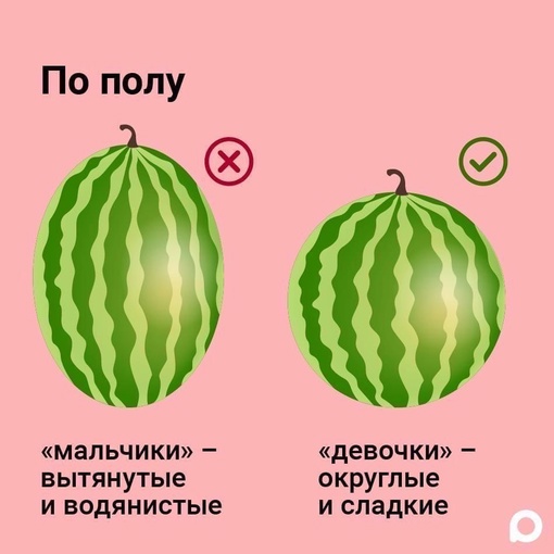 🍉 Наступил один из самых вкусных месяцев лета. Если вы не знаете, как выбрать самый спелый и сочный арбуз,..