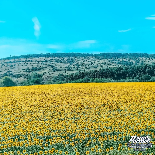 Тысячи Солнц ☀
Ростовская..