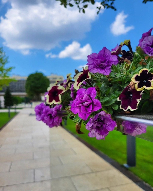 Доброе утро, друзья! 🌼🌸🌞  Фото..