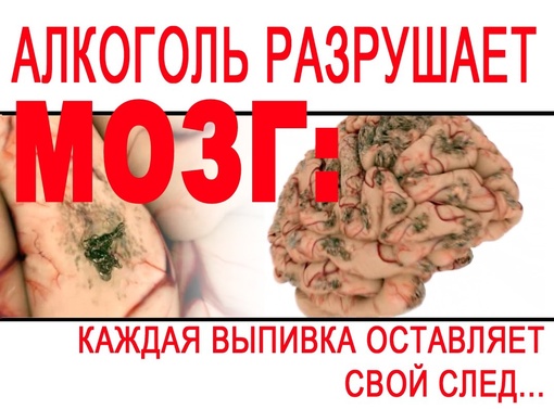 Красиво жить не запретишь даже в РФ 2023 года, если это Петербург, лето и..