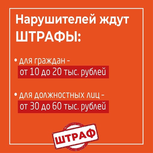 🔥На Кубани действует особый противопожарный режим. 
🤔Что это значит? Читайте в наших..