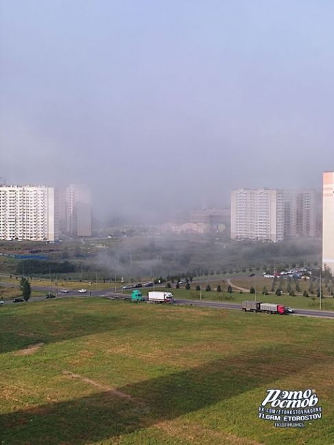 🌫 Утренний туман на..