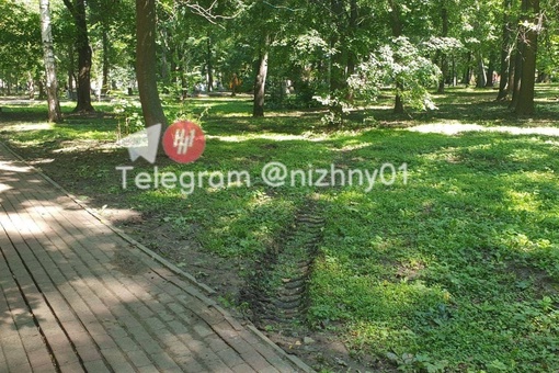 🌱Пока одну часть парка Кулибина благоустраивают, другую — портят.  Тракторы вовсю рассекают по газонам,..