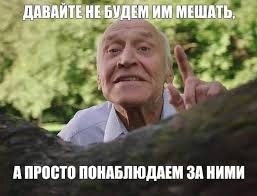 🗨 Ночной чат..