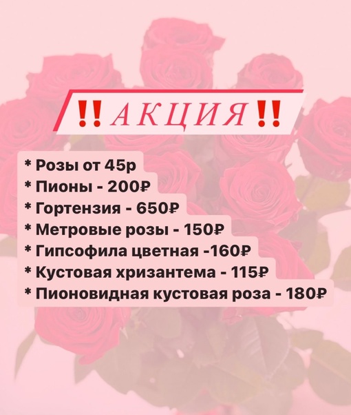 🔥АКЦИЯ ДНЯ🔥  РОЗЫ от 45₽
Хризантема 115₽
Гипсофила 160₽
Пионы 200₽
Розы пионовидные 180₽
Гортензия..