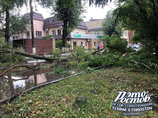 🌳В Беломорском переулке дерево рухнуло на провода и завалило столб.  🫡П.С. Спасибо всем, кто присылает..