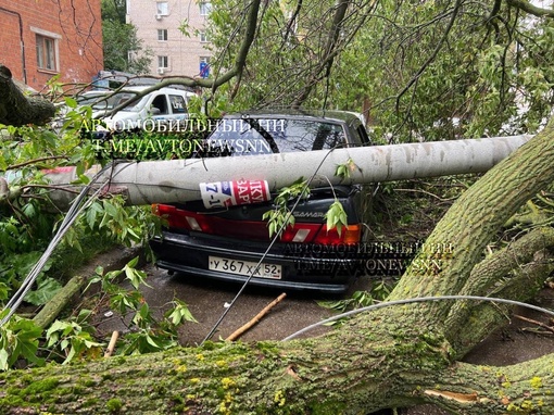 Вдвойне неудачный день для жильца дома №19 на улице Панина  Вчера во время урагана дерево и столб рухнули на..