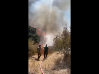 🔥 Отдыхающие шашлычники вчера спровоцировали пожар между Новороссийском и Кабардинкой  Люди вкусно..