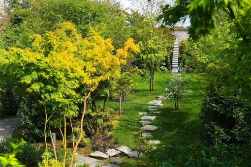 Дыхание осени в Японском саду ⛩️🌳🍁  Фото..