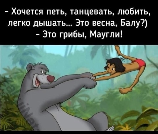 😳"Я рад, что вам понравилось это шоу!": пьяный "человек-паук" забрался на колесо обозрения в Башкирии 
Житель..