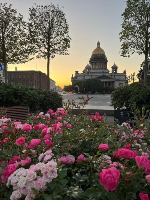 Красота любимого города..