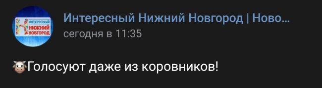 🐮Голосуют даже из коровников!  Ответственные нижегородцы, которые не могут оставить область без молока и..