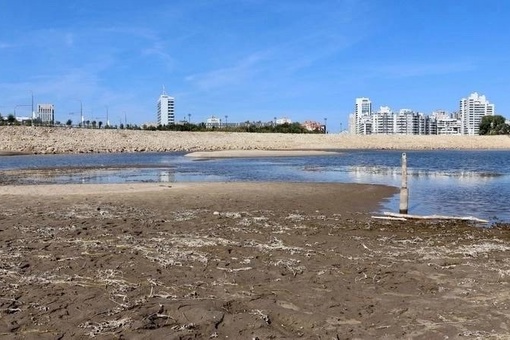 Жители Казани обеспокоены уровнем падения воды у Казанки😱  Вот так жители города гуляют по обмелевшей реке..